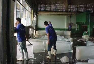 โรงน้ำแข็ง